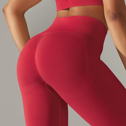 Ultimate Seamless Sculpting Leggings